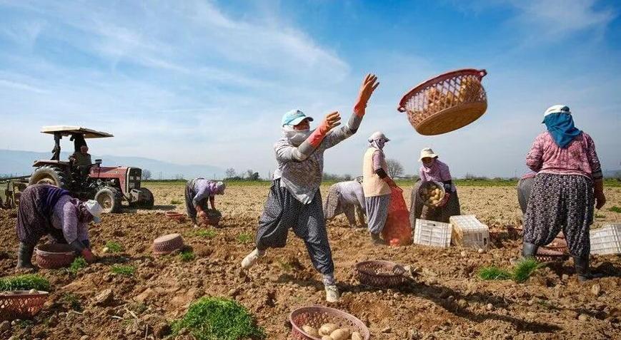 Tarıma 750 milyon dolar destek