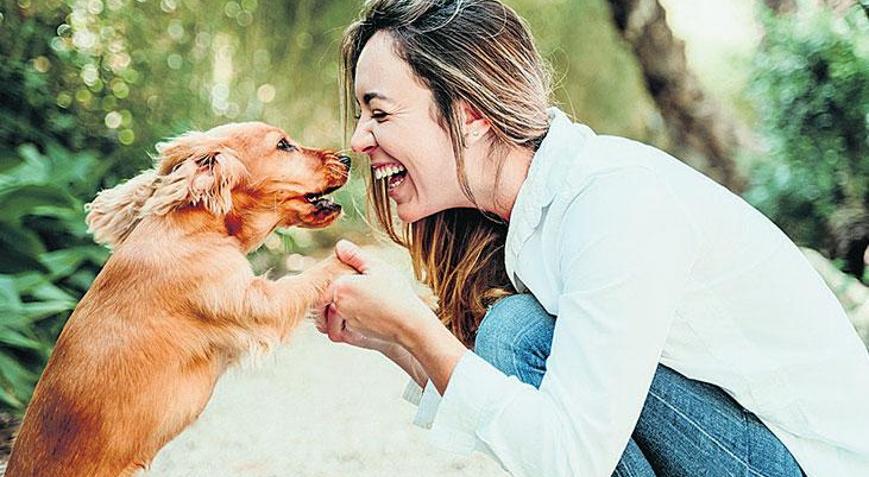 Evcil hayvanlar ve insanlar aynı dirençli bakteri havuzunda