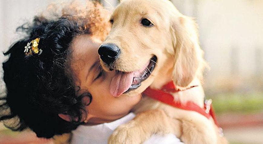 Köpeğin kurduğu bağ stres düzeyini etkiliyor