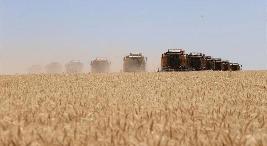 Tarım ürünleri lisanslı depoculuk usul ve esaslarında düzenleme