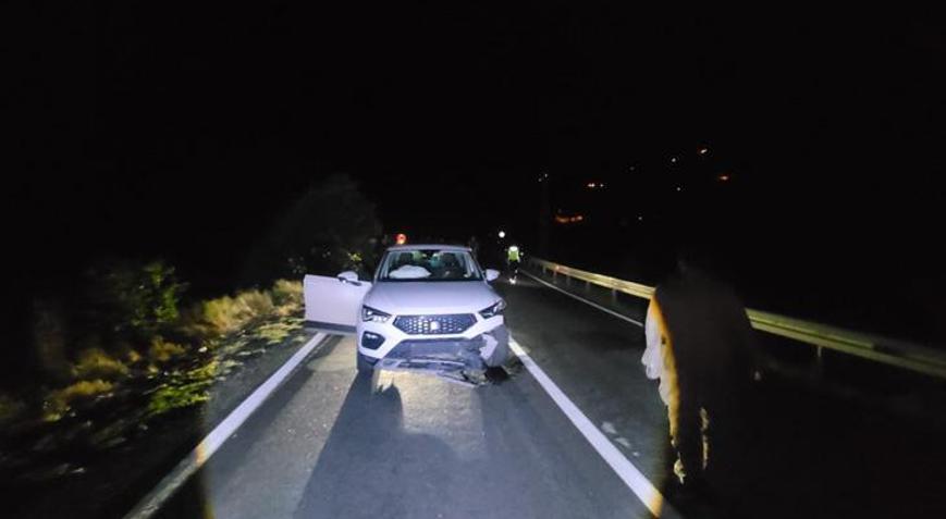 Tunceli-Erzincan kara yolunda aniden yola fırladı Cipin çarptığı ayı öldü