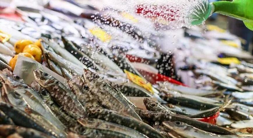 Türkiyenin su ürünleri ihracatı 1,8 milyar dolara ulaştı