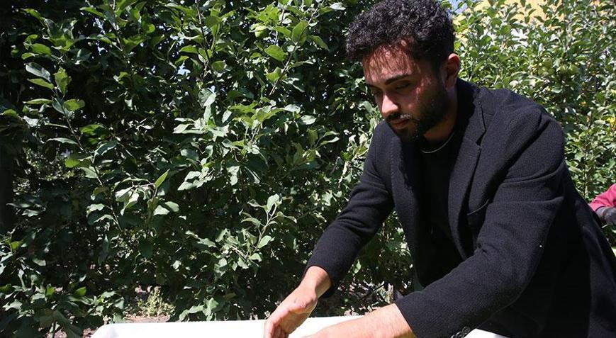 Üniversite mezunu genç, babasının elma bahçesini 3 yılda 730 dönüm büyüttü
