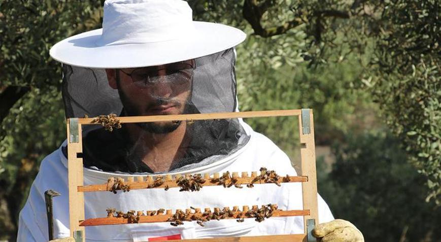Baba mesleğini devam ettiren genç girişimci ürettiği balları ihraç ediyor