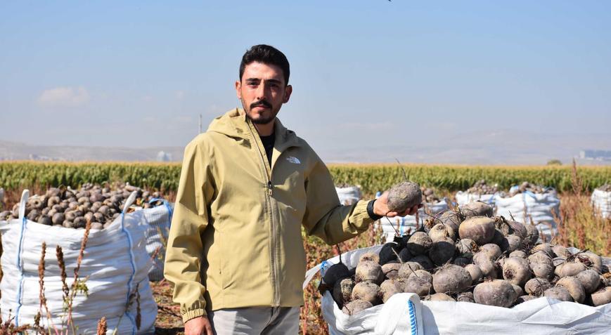 İlk defa denediler Sonuç şaşırttı: 1000 dekara çıkaracaklar