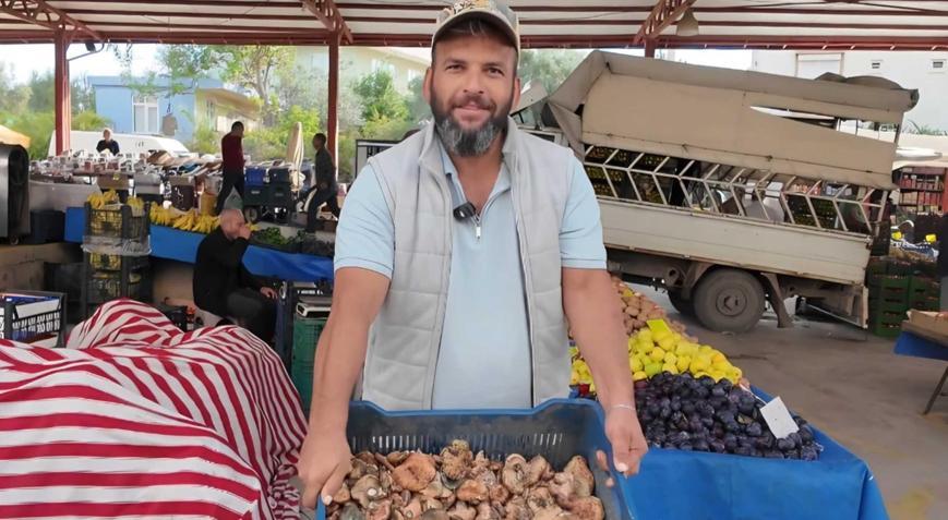 Doğada kendiliğinden yetişiyor, kilosu pazarda 300 TLye satılıyor: ‘Yaylada ganimet var’