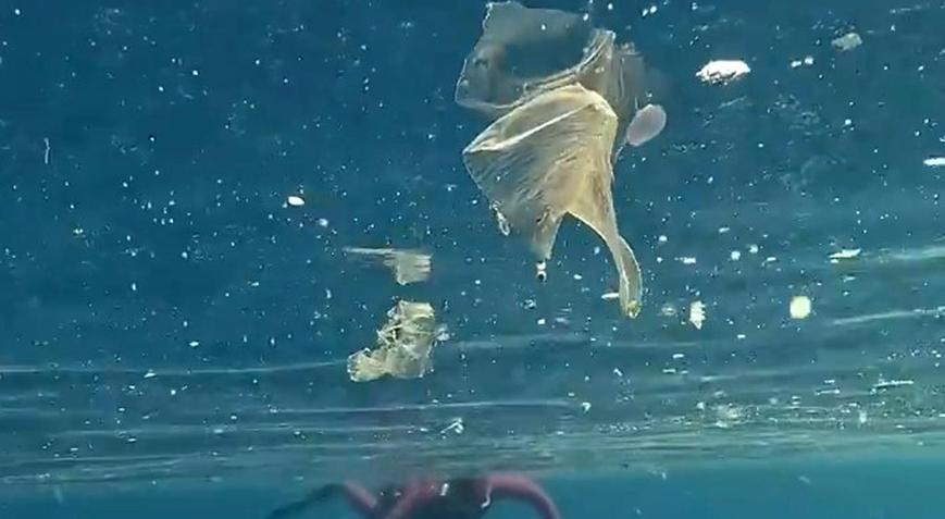 Antalyada denize girenler plastik atıkların arasında yüzdü Uzman isimden kritik uyarı