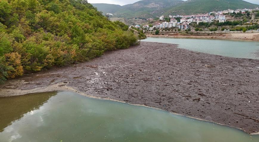 Tunceli’de sağanak sonrası korkutan görüntü Munzur ve Pülümür’den gelen atıklar kıyıya yığıldı