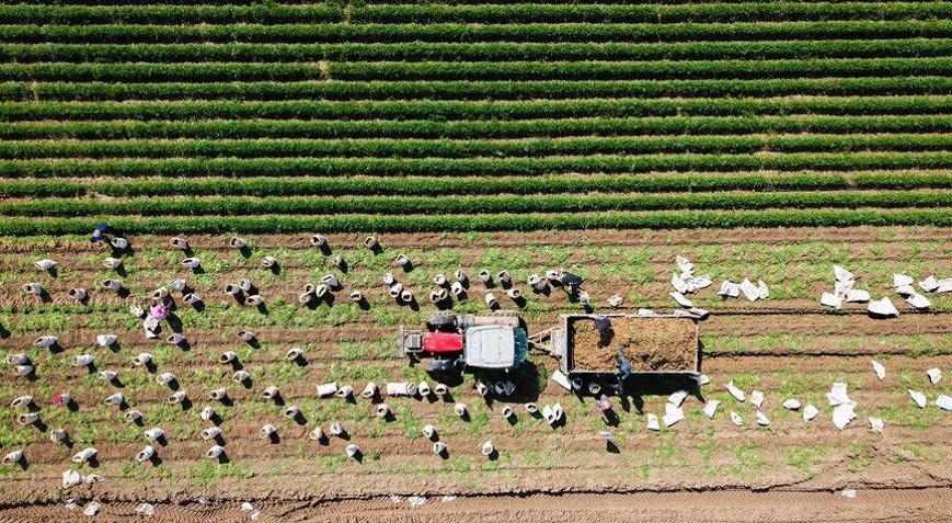 Tarımsal girdi fiyat endeksi arttı