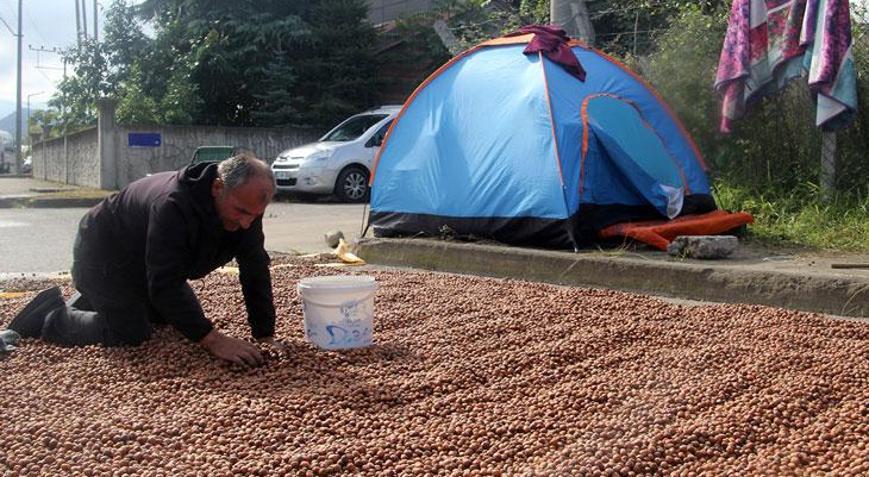 Çürüme sonrası üreticiler zorda Fındık göçü başladı