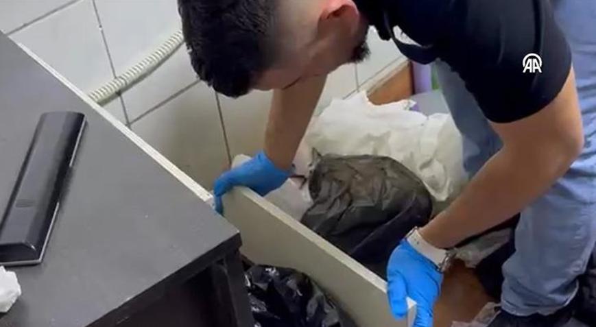 Ekmek fırınından çıkanlar şoke etti Fırın görünümlü zehir tezgahına darbe