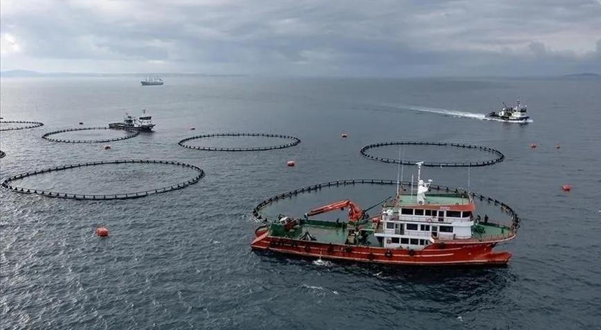 Türkiyenin Çine su ürünleri ihracatı yaklaşık 3 katına çıktı