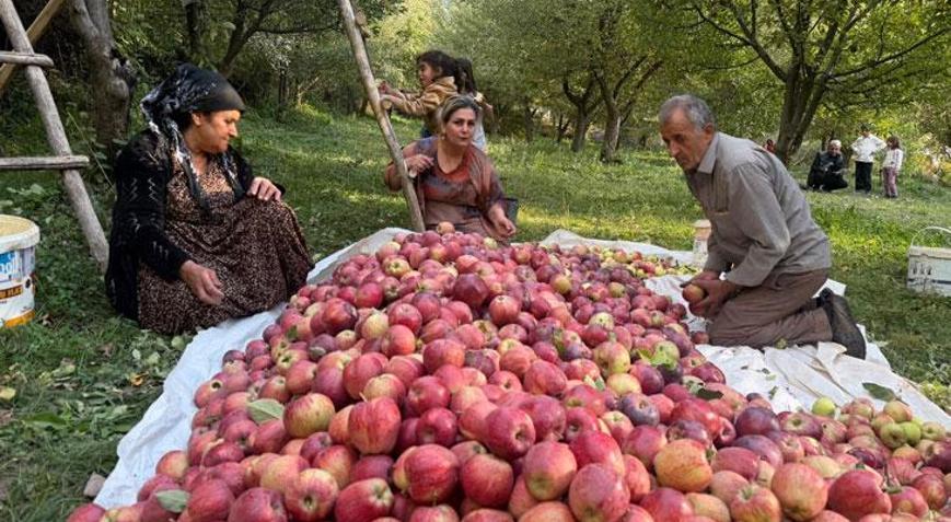 Devlet desteğiyle kurdu Bahçede 8 tonluk verim
