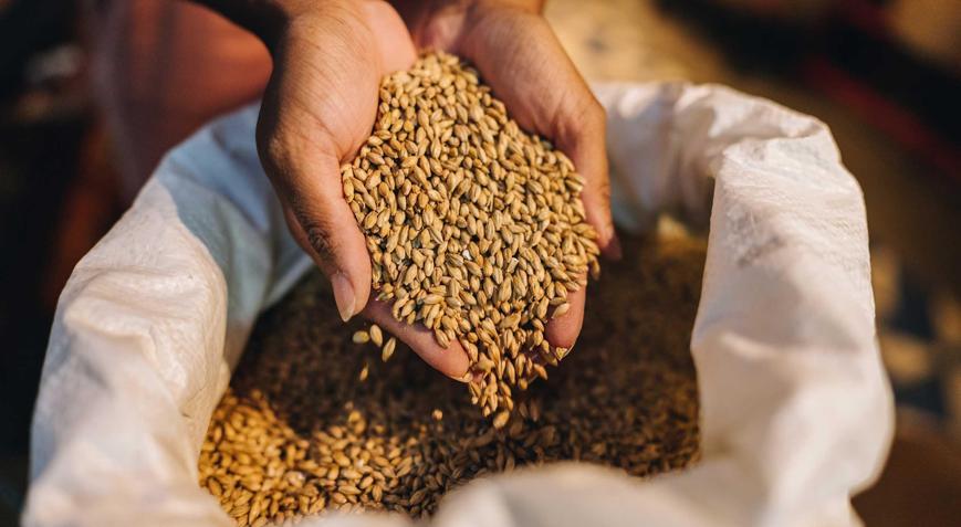 TİGEM tonlarca buğday, arpa ve narenciye satacak
