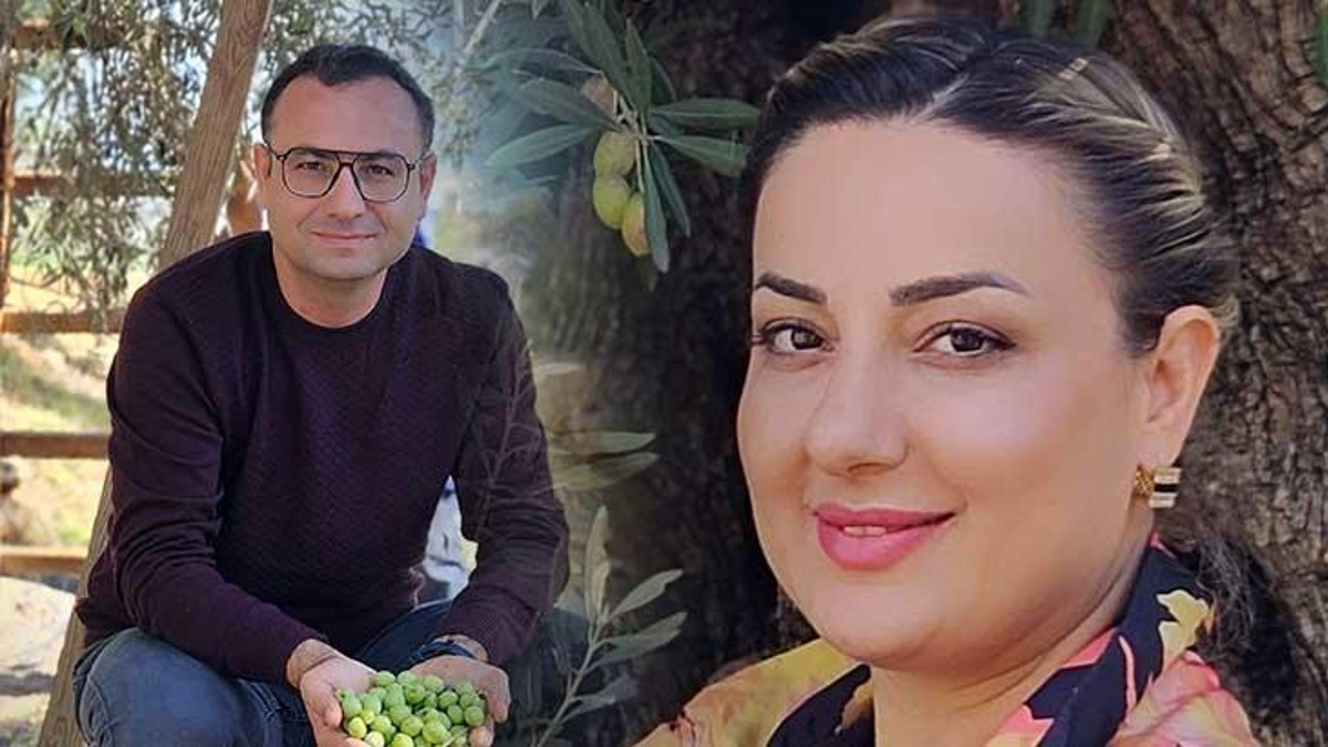 Akhisar'dan Antalya'ya Taşınan Asırlık Zeytin Ağaçları Korunuyor